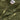 GIUBOTTO Drab Olive Green Tommy Hilfiger