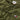 FELPA Drab Olive Green Tommy Hilfiger