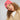 CAPPELLO Electric Blush Puma