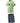 COMPLETI Verde Adidas
