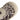 SCARPE SPORTIVE Beige Adidas