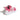 SCARPE SPORTIVE Fucsia Adidas